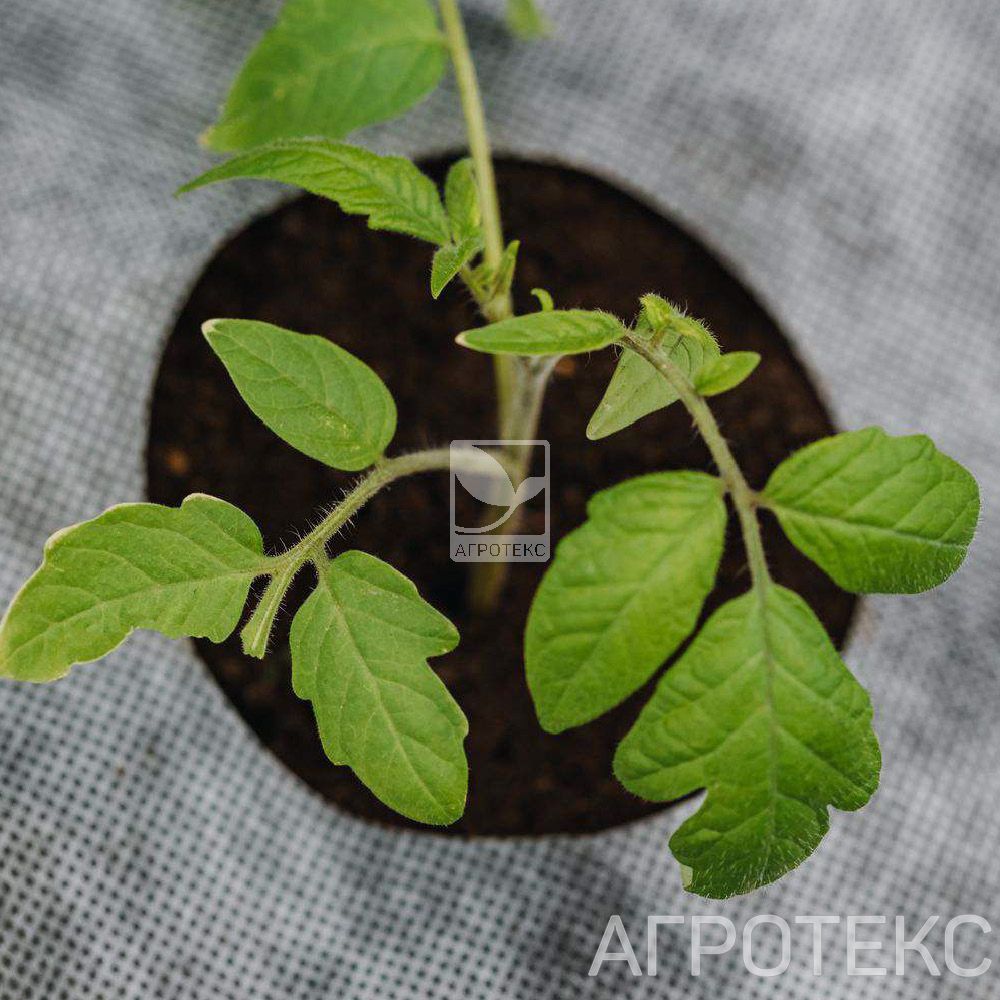 32.01.26.01.00.000.0000.0000.00_1