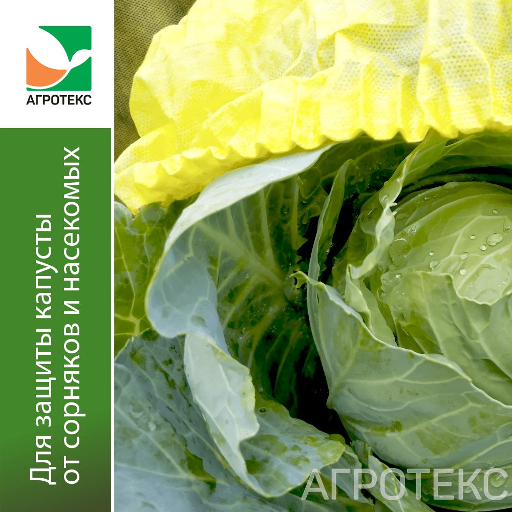 32.01.21.01.00.000.0000.0000.00_1