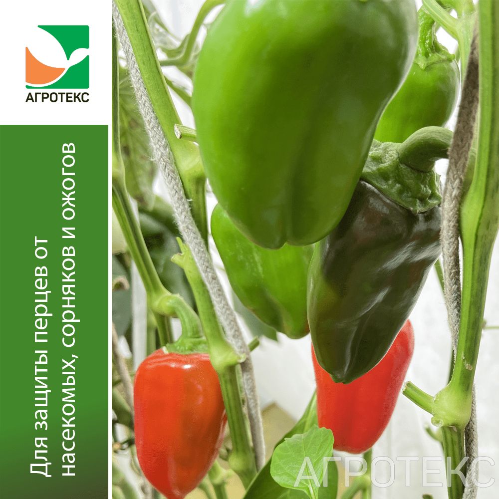 32.01.27.01.00.000.0000.0000.00_1