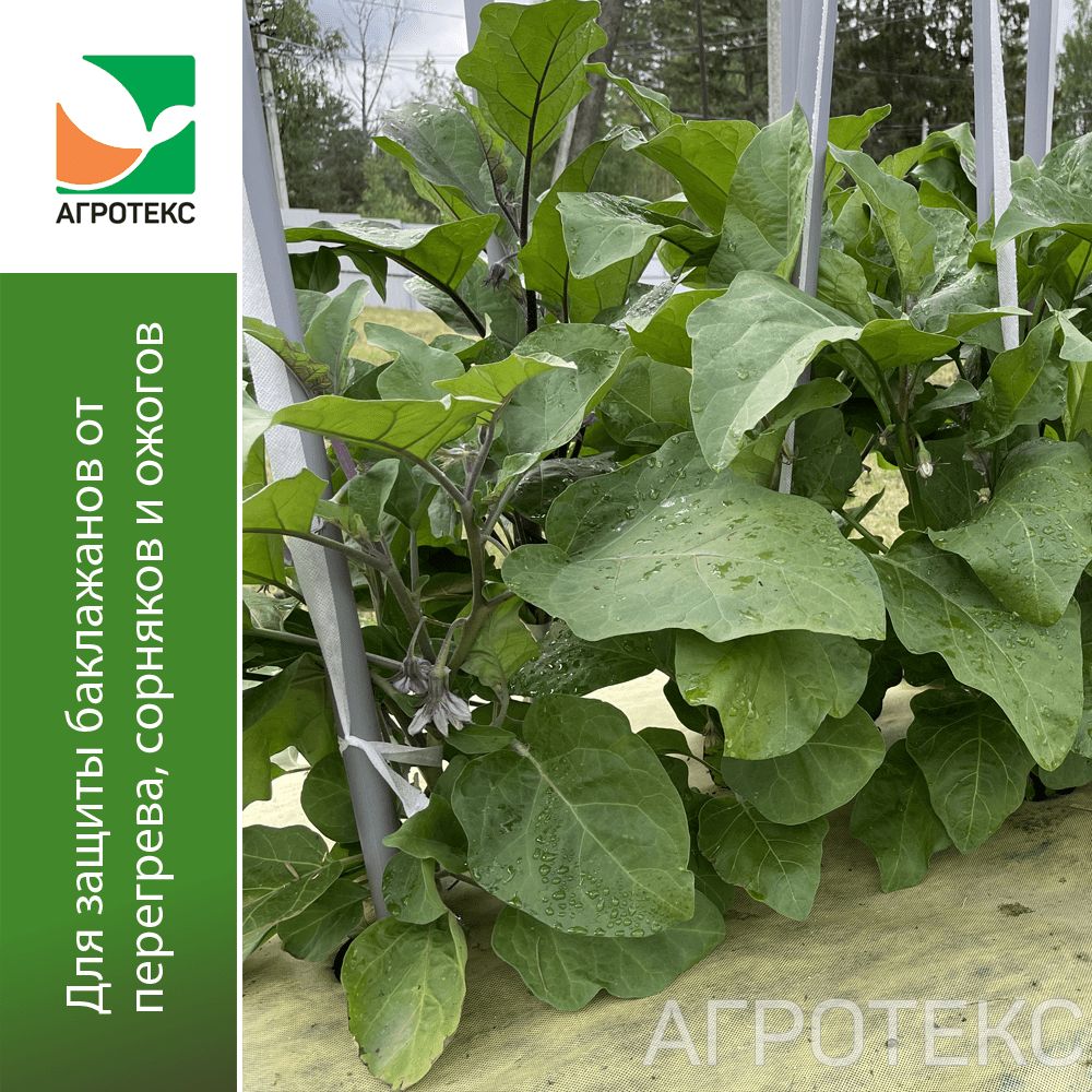 32.01.31.01.00.000.0000.0000.00_2