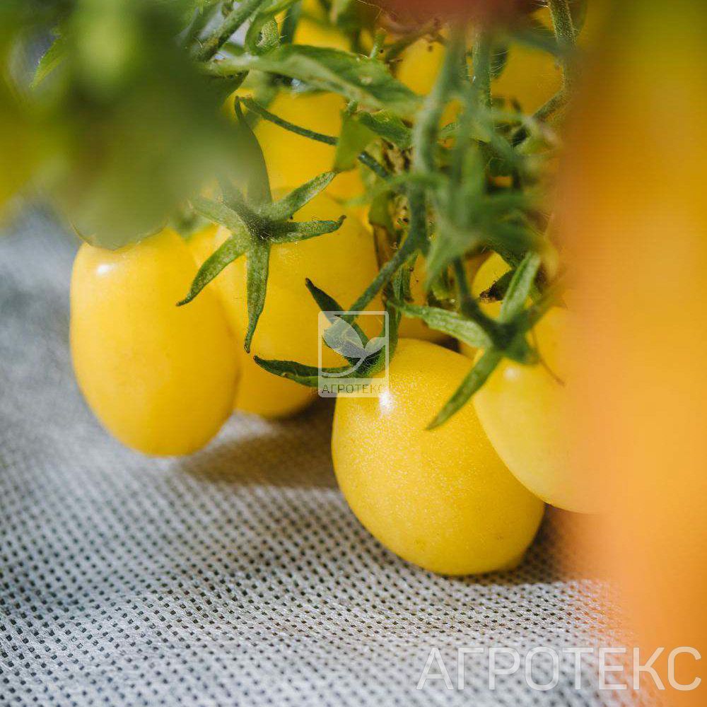 32.01.26.01.00.000.0000.0000.00_6