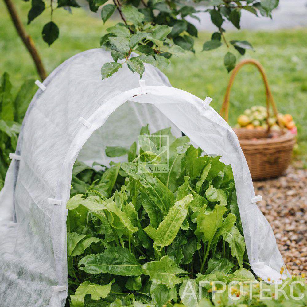 32.01.17.01.01.030.0010.3200.00_2