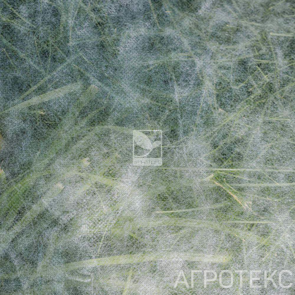 32.01.17.01.01.017.0010.3200.00_2