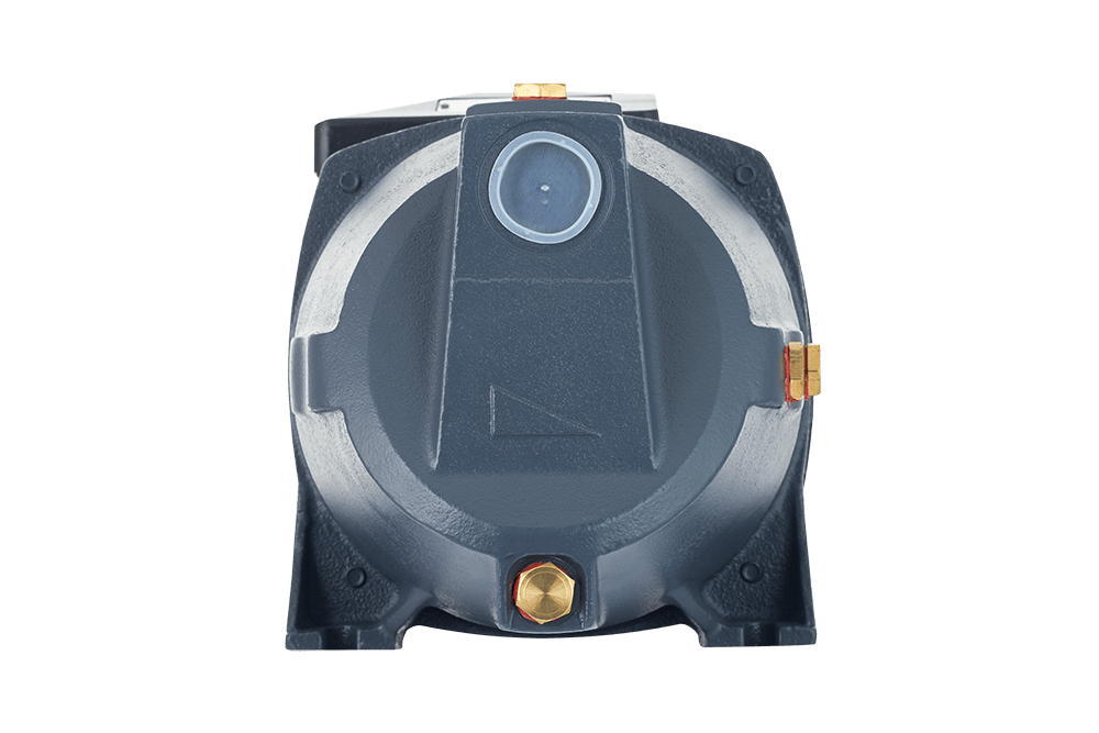 x69cp2eqtqnpeqdzl09omgmuezm60upp