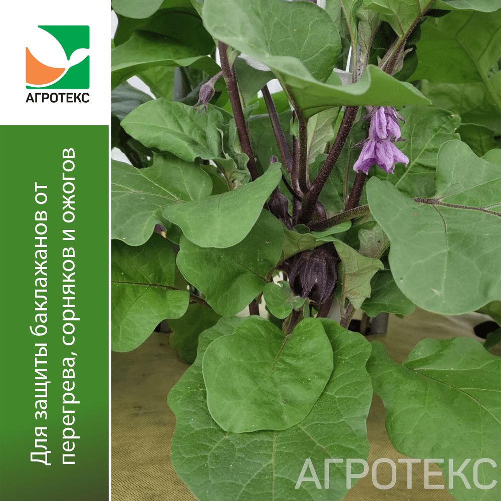 32.01.31.01.00.000.0000.0000.00_1