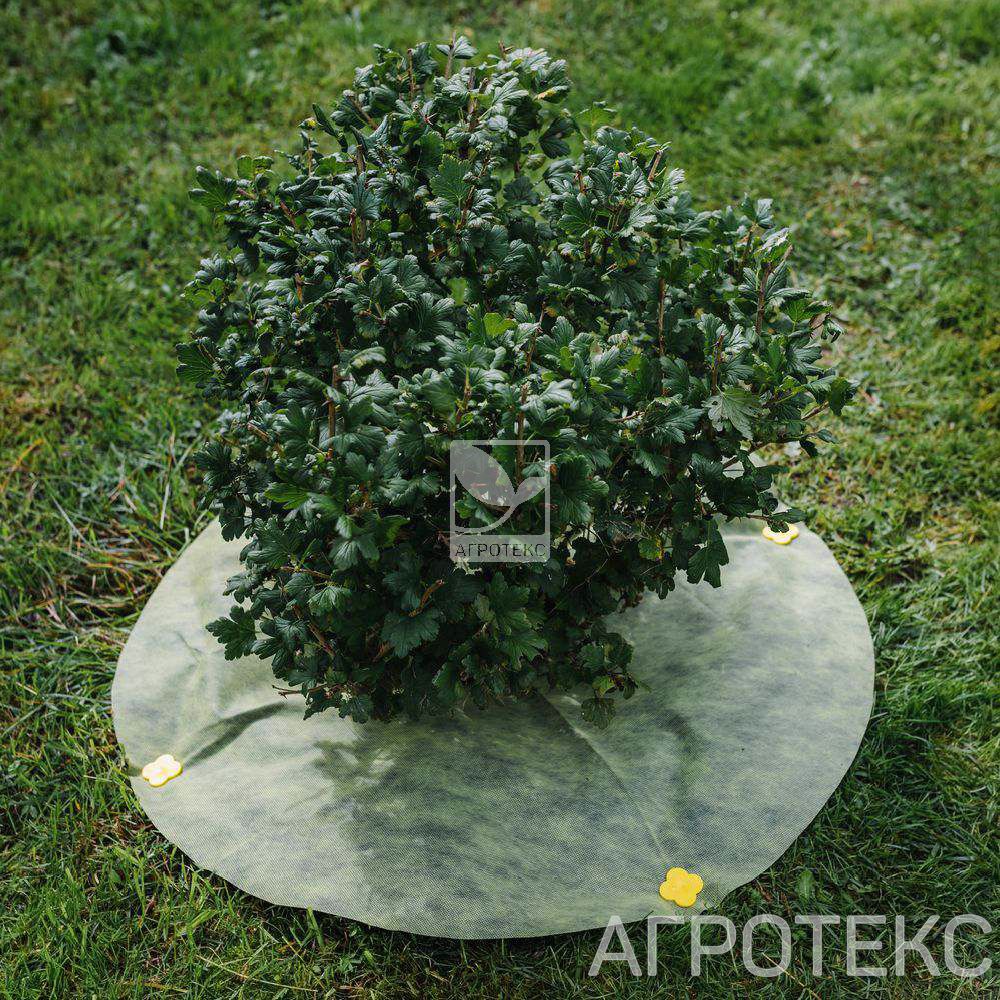 32.01.59.01.38.060.0000.0800.00_2