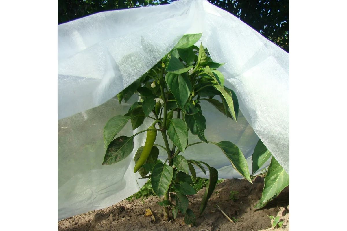 37.01.02.03.01.060.0200.3200.00_2