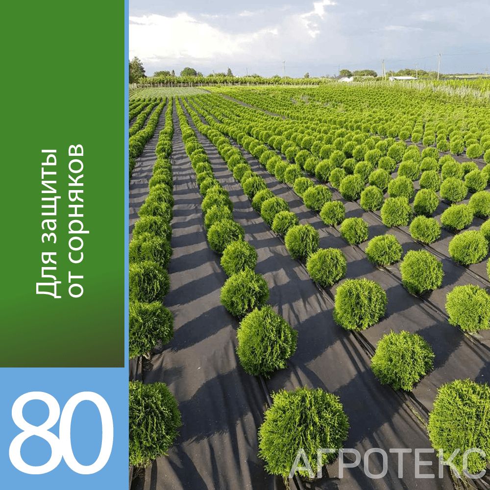 32.01.17.01.02.080.0010.1600.00_2