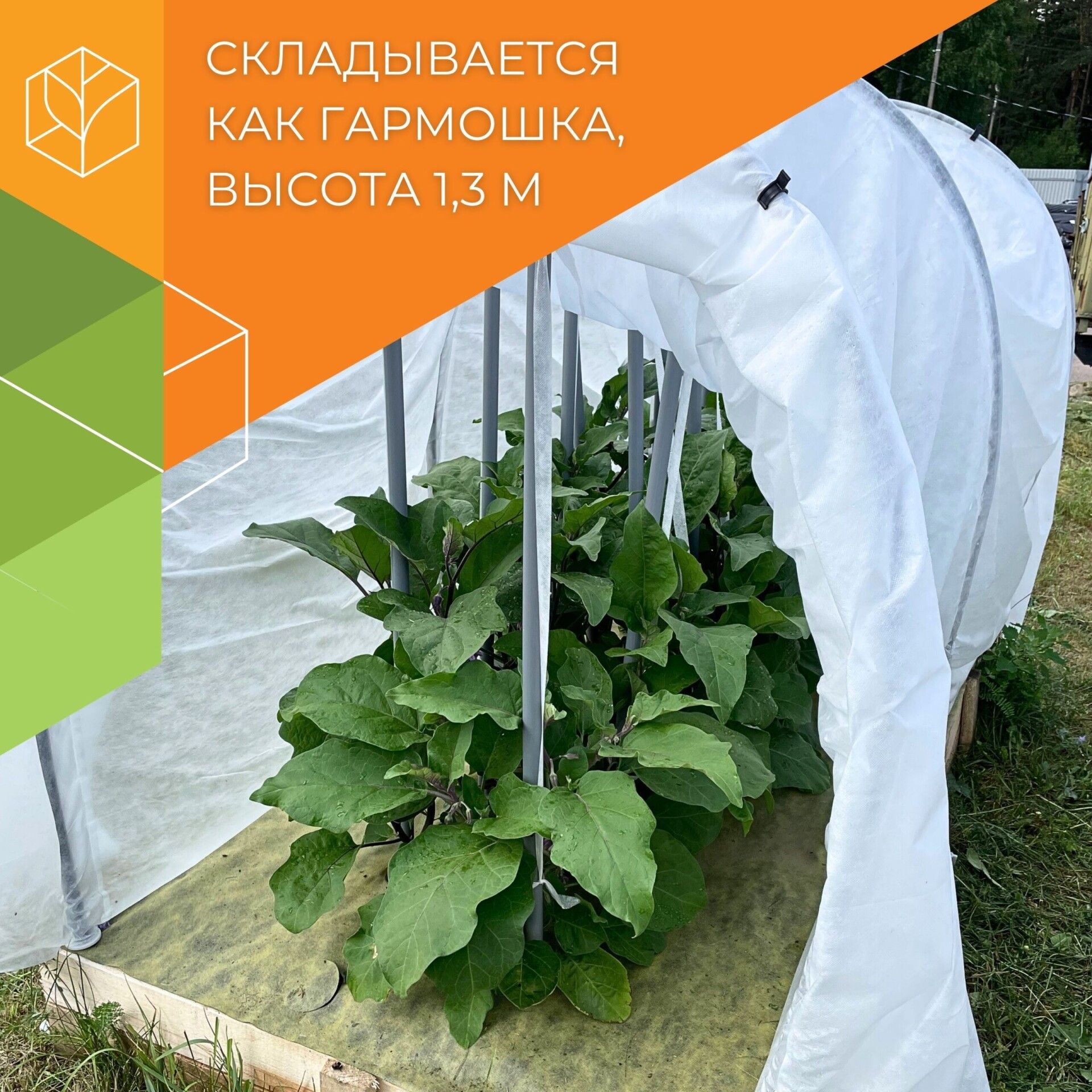 32.01.66.03.00.000.0006.0000.00_1