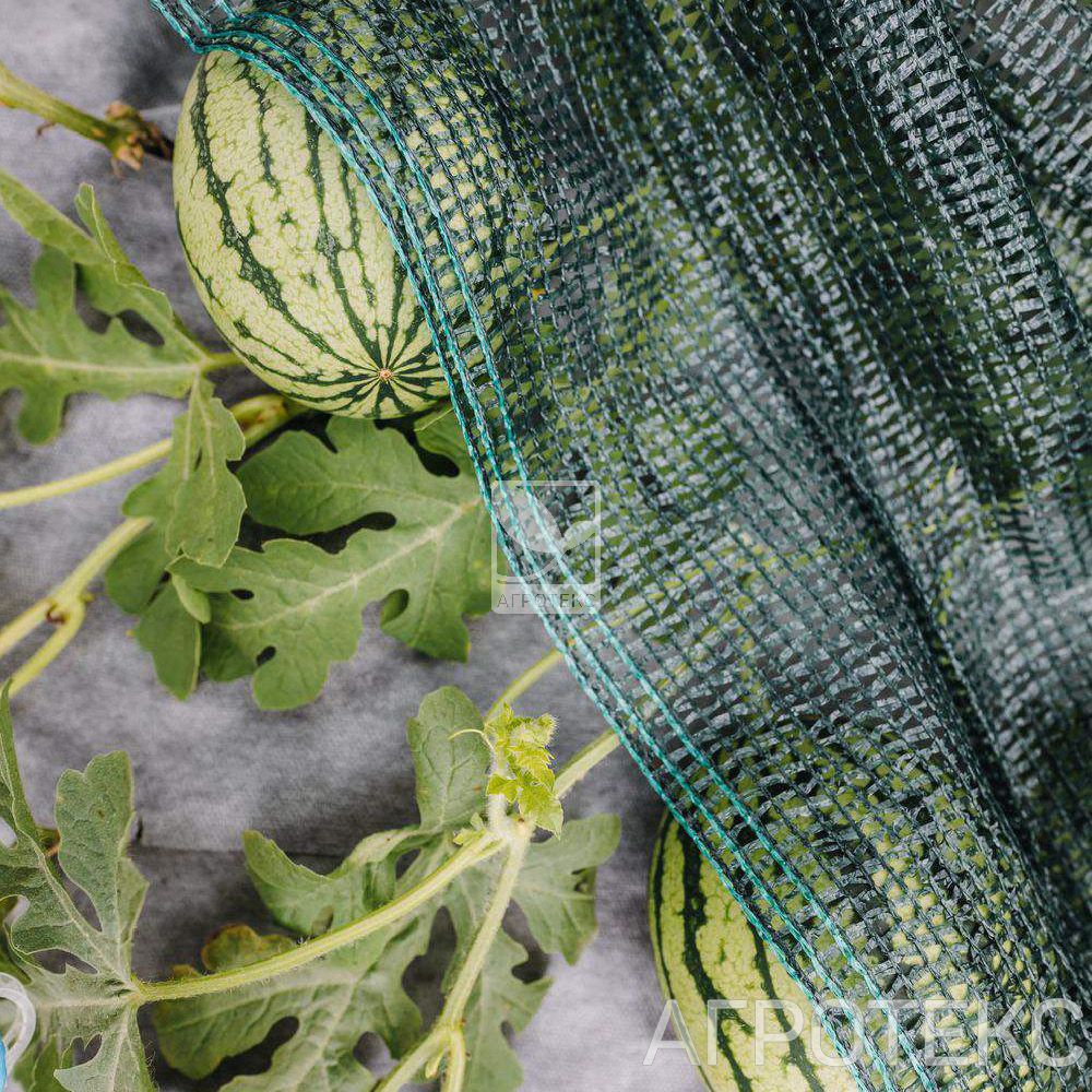 32.01.15.02.00.080.0050.6000.00_1