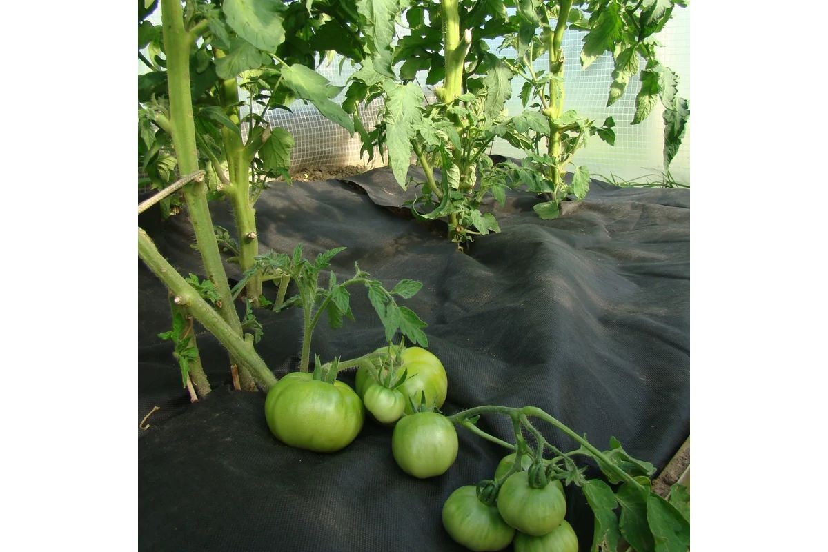 37.01.03.03.02.060.0200.3200.00_3