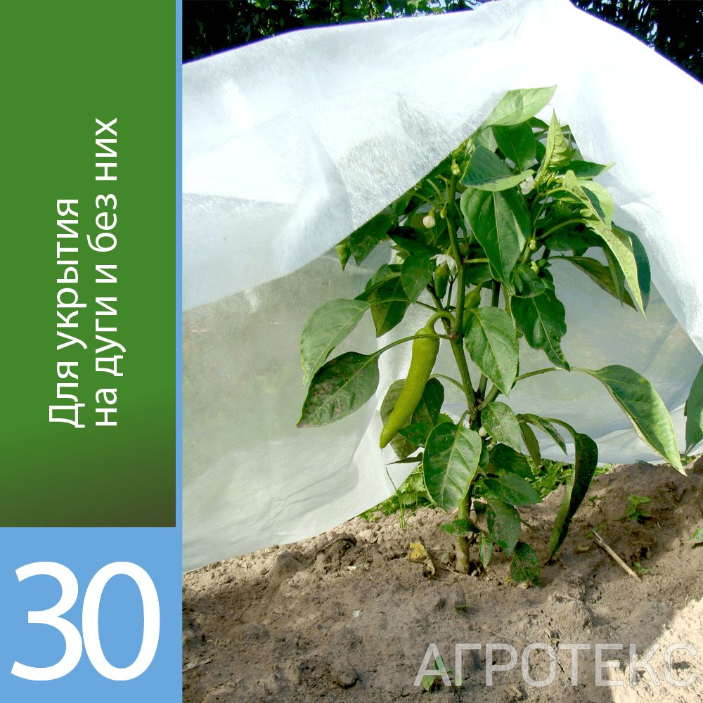 32.01.17.01.01.030.0010.3200.00_1