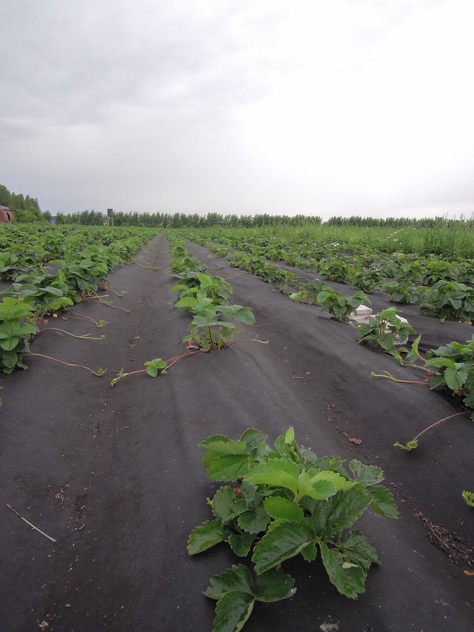 37.01.03.03.02.060.0200.3200.00_1