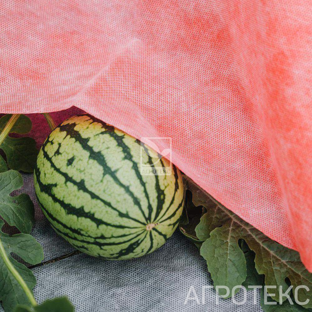 32.01.17.01.27.060.0010.3200.00_3