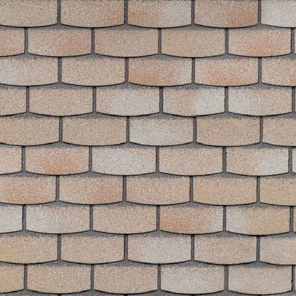 209631_1