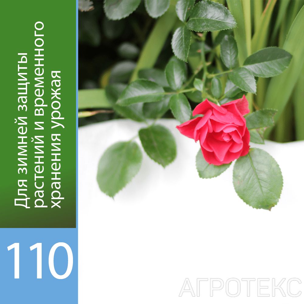 32.01.00.03.01.110.0010.3200.00_1