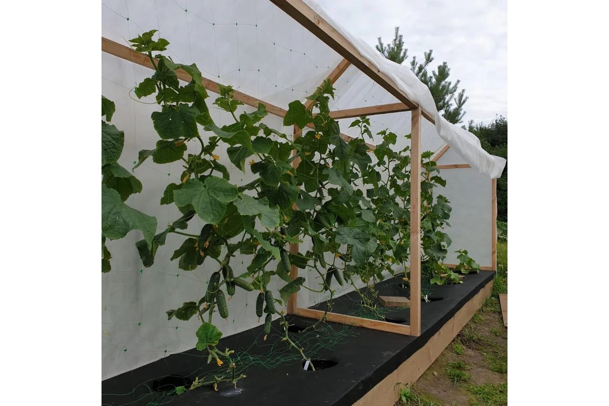 37.01.02.03.01.060.0200.3200.00_3