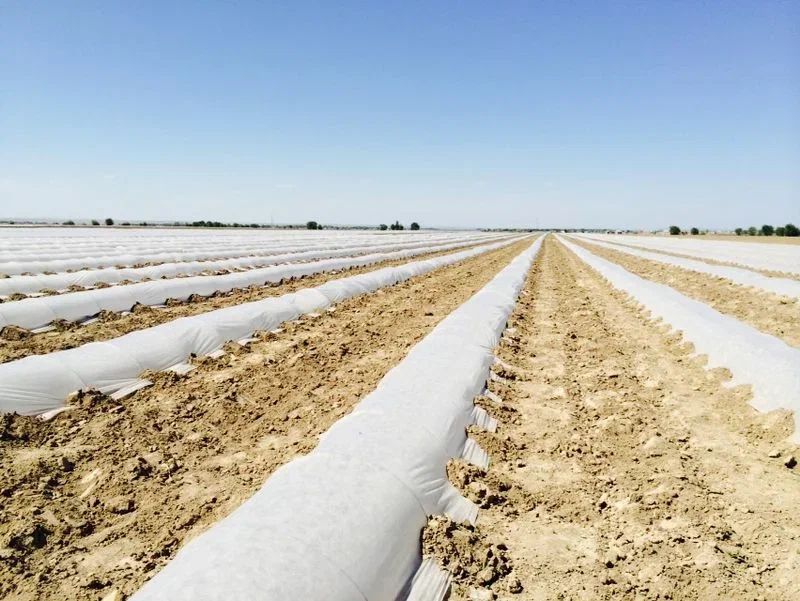 37.01.05.03.01.040.0200.3200.00_1