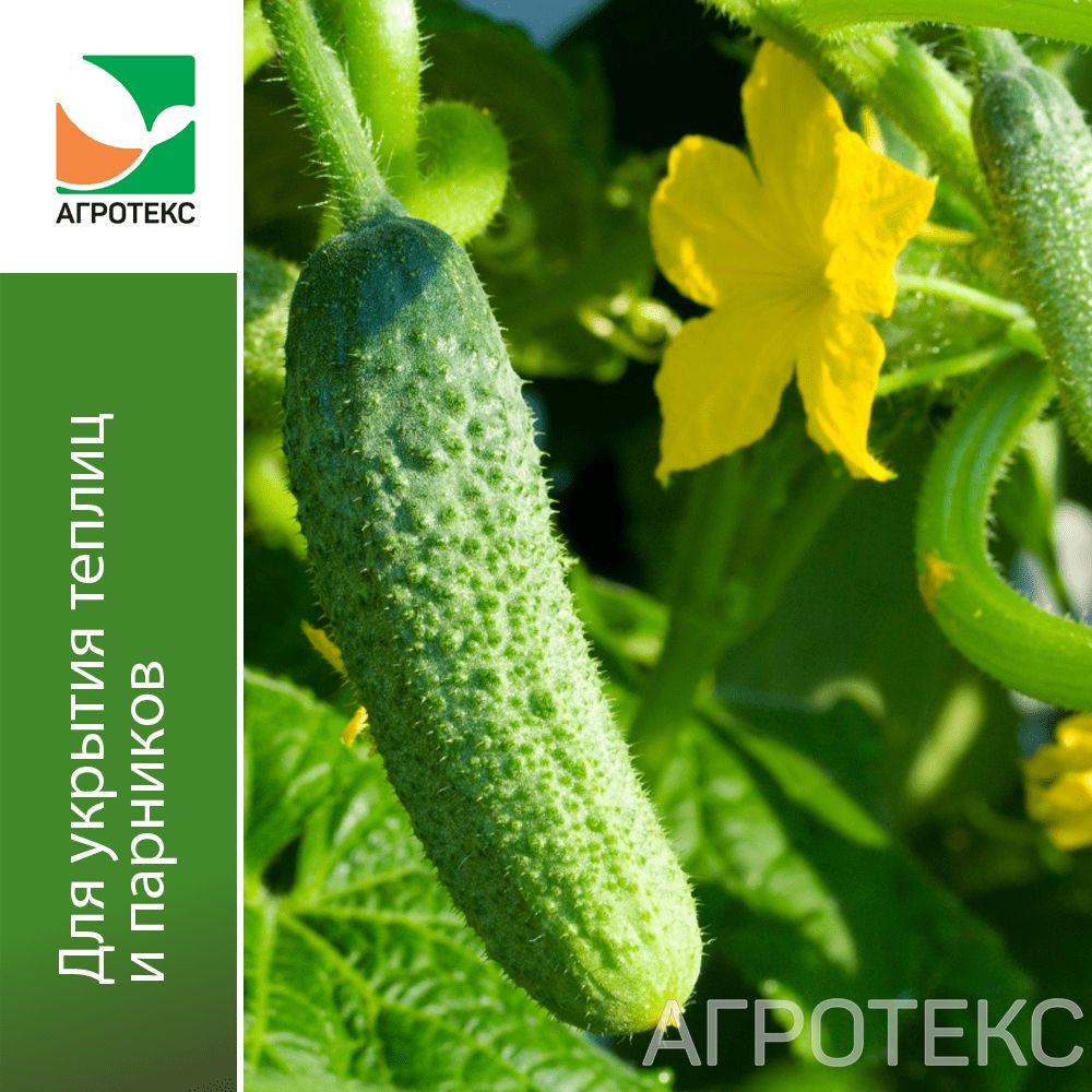 32.11.33.45.00.000.0000.0000.00_1