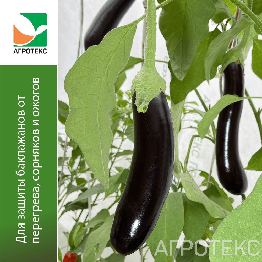 32.01.31.01.00.000.0000.0000.00_1