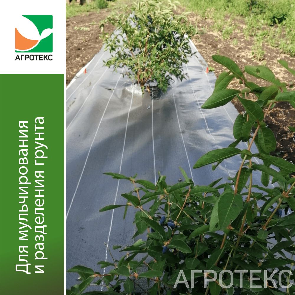 32.01.19.02.02.060.0010.1600.02_2