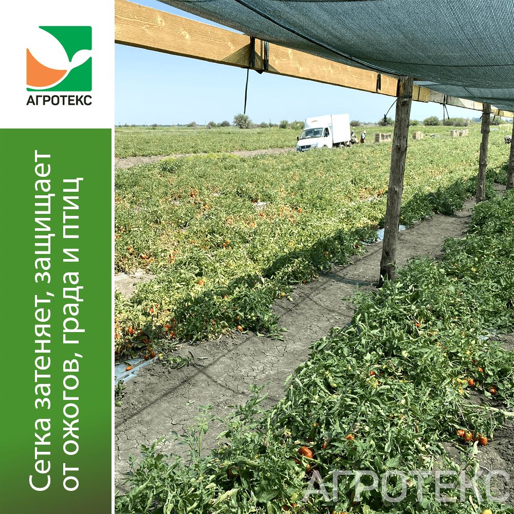 32.01.15.02.00.070.0050.4000.00_4