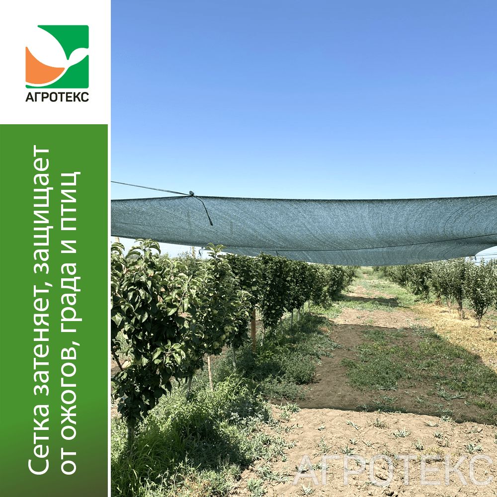 32.01.15.02.00.080.0050.6000.00_3