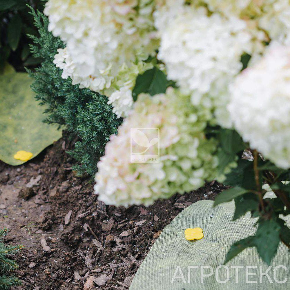 32.01.34.02.00.000.0000.0000.00_3