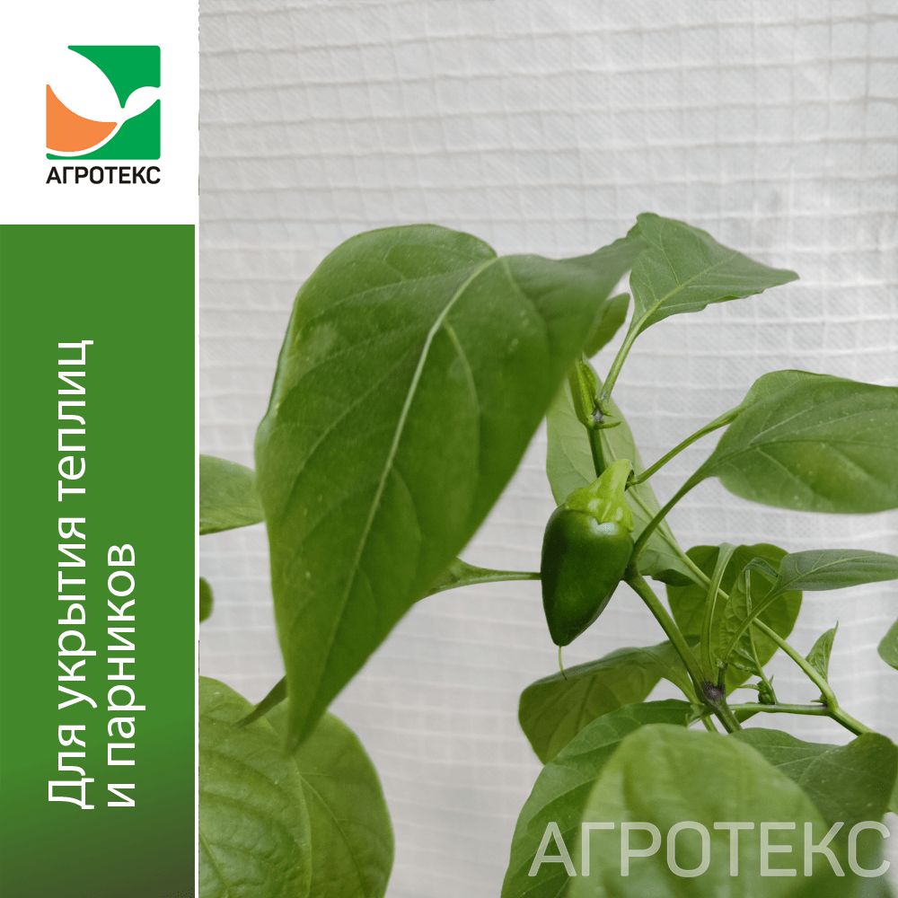 32.01.04.02.01.080.0100.3000.00_1