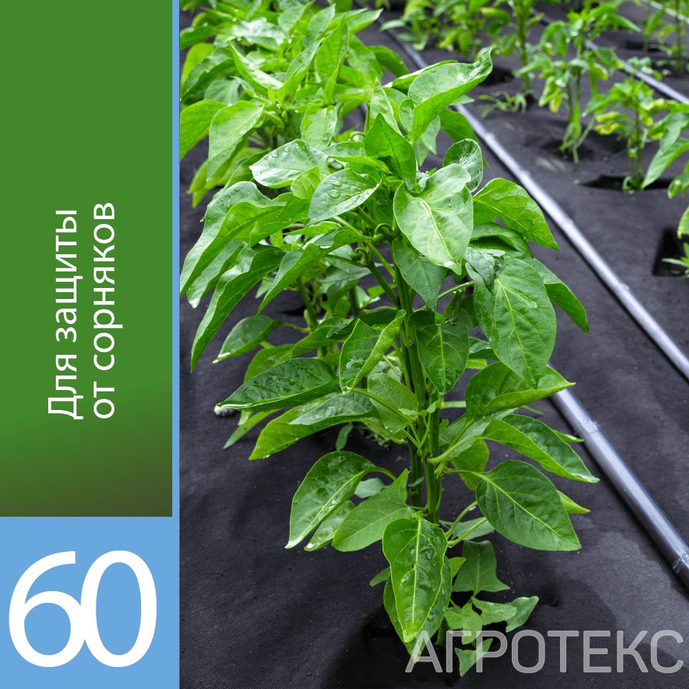 32.01.00.03.02.060.0010.1600.00_3