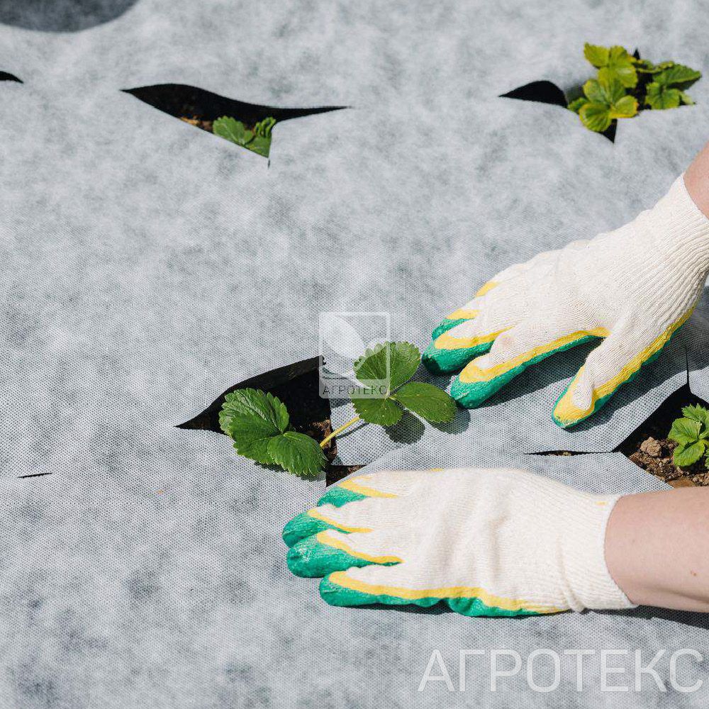 32.01.20.01.00.000.0000.0000.00_1