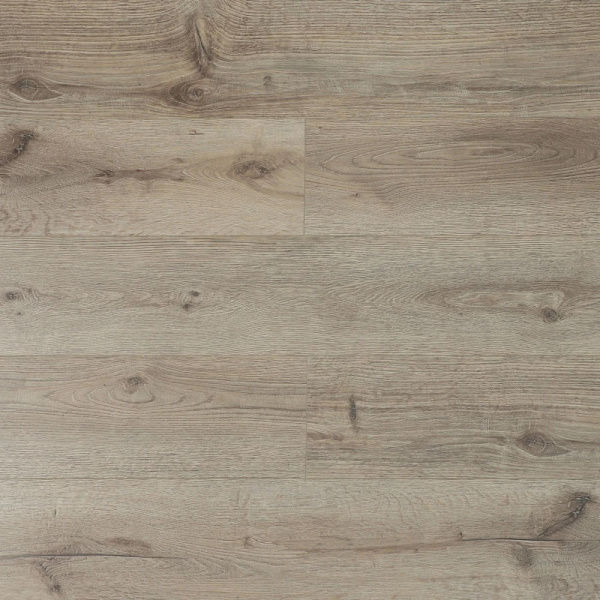 УТ-00098581_2