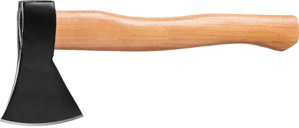4855019