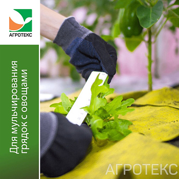 Агротекс Профф 80 "UV"- жёло-чёрный 1,6*20м (рул)  (св 0,8м)