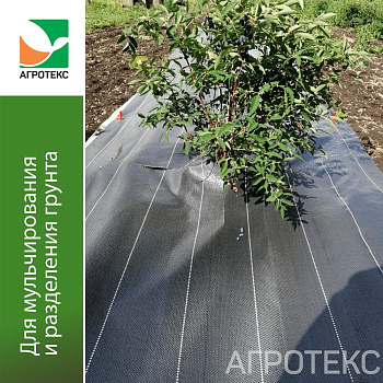 Агротекс Профф Геоткань 100 "UV"- чёрный 1,6*50м  (с белой нитью, шаг 20см)