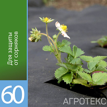 Агротекс Профф 60 "UV"- чёрный 3,2*10м (рул) (св  0,8м)