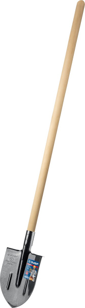 4919646