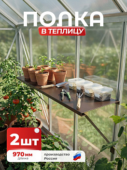 Полка-держатель в теплицу для садового инвентаря Длина 970мм, Коричневый (RAL 8017), 0,45мм, 2шт