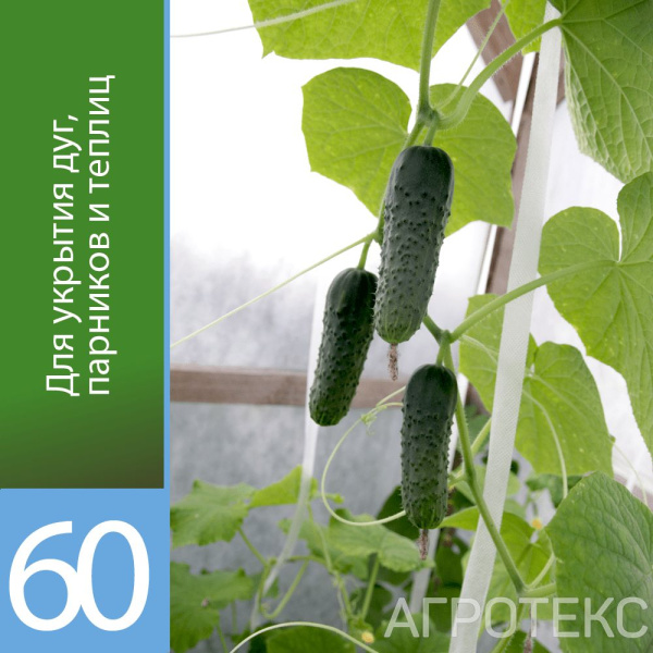УТ-00090725_1