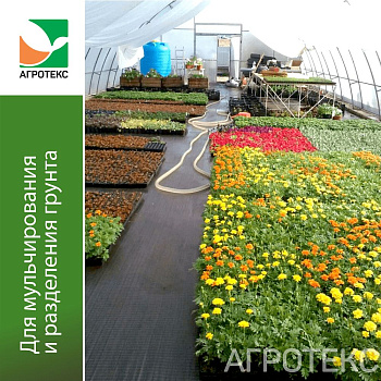 Агротекс Профф Геоткань 100 "UV"- чёрный 1,6*10м (с белой нитью, шаг 20см) (в кор)
