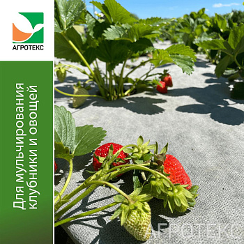 Агротекс Профф 80 "UV"- бело-чёрный 1,06*10м  (рул)