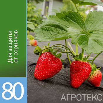 Агротекс 80 "UV"- чёрный  1,6*10м (в коробке)