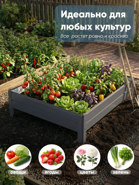 УТ-00084478_3