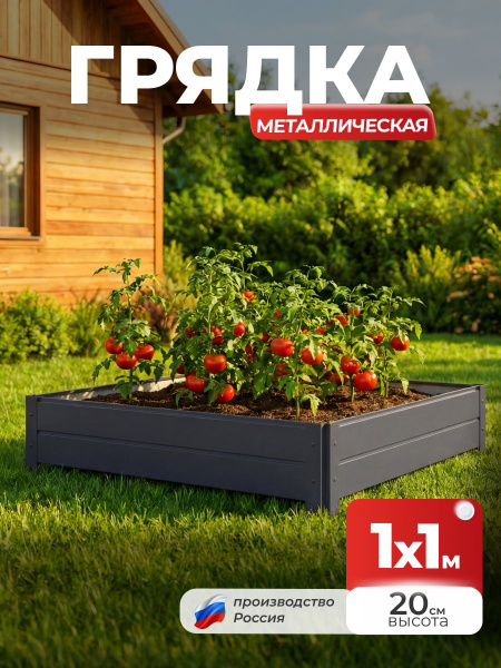УТ-00084478_1