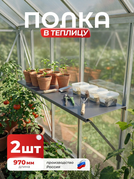 УТ-00090404_1