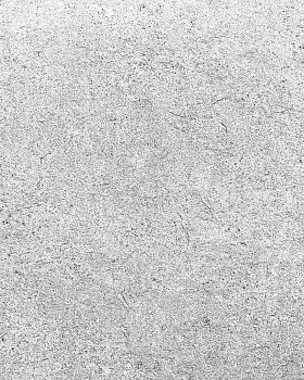 Обои Solo Loft&Silver 168458-00