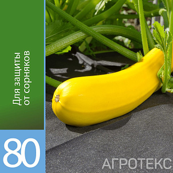 Агротекс Профф 80 "UV"- чёрный 1,6*10м (рул) (св  0,8м)
