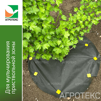 Агротекс Комплект для деревьев и кустарников №1 (приствольный круг черный d-0,8 + 6 колышков  садовы