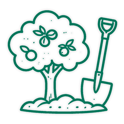 Сад и огород